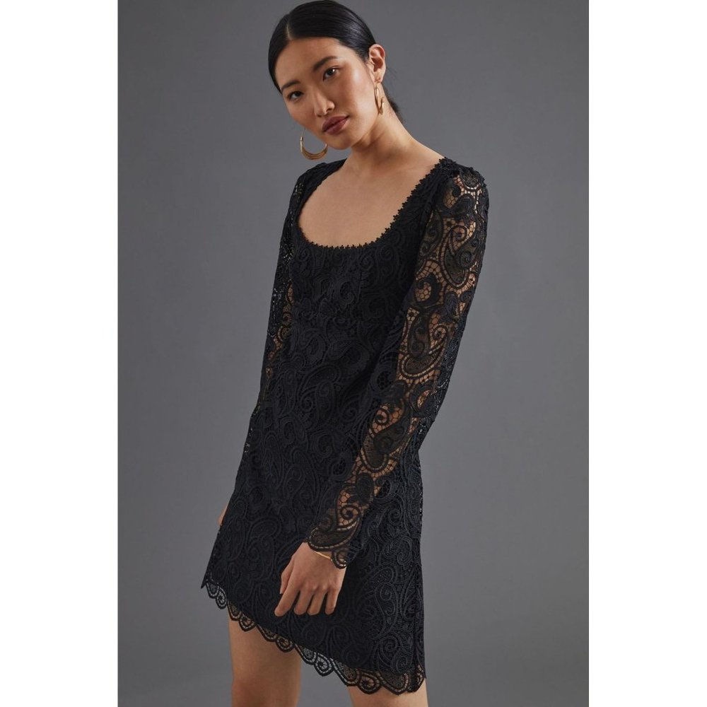 Anthropologie Maeve Embroidered Lace Mini Dress